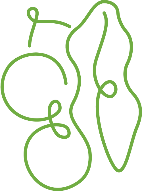 Line Art Image