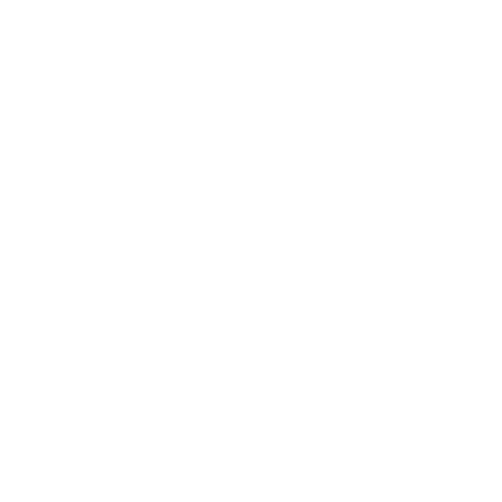 NTF LOGO